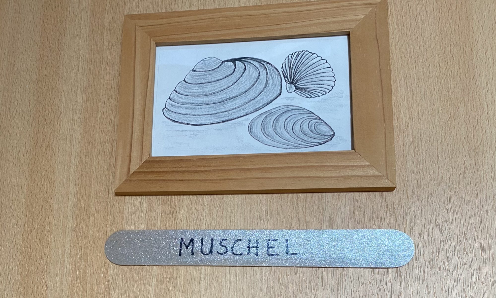 Muschel Eingangstür Feb 25