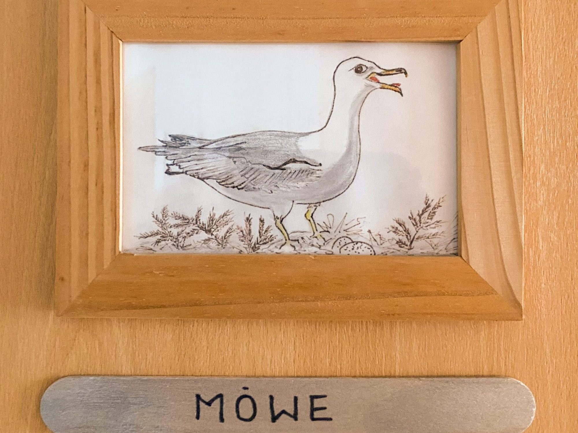 Möwe Türschild