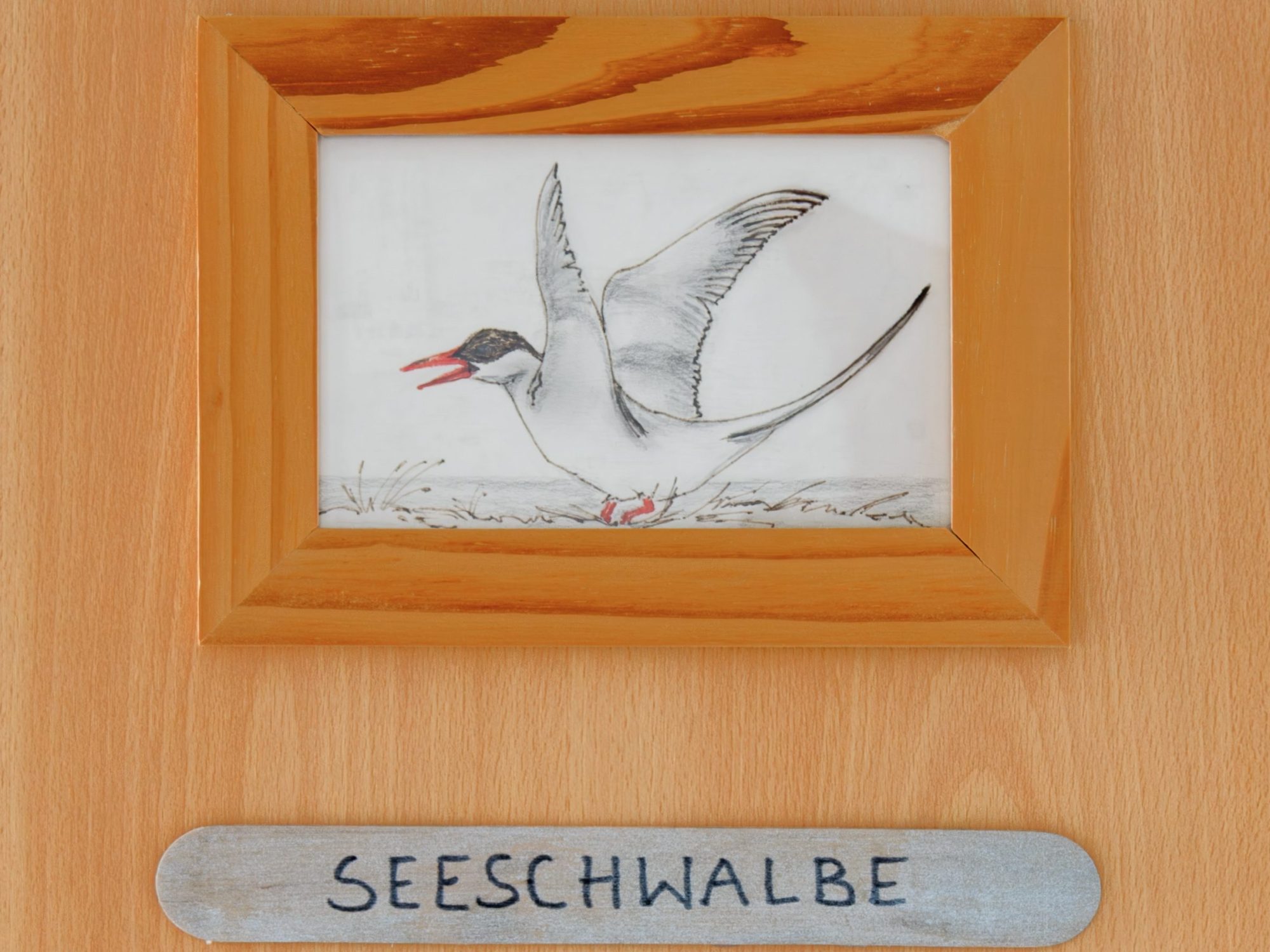 Türschild